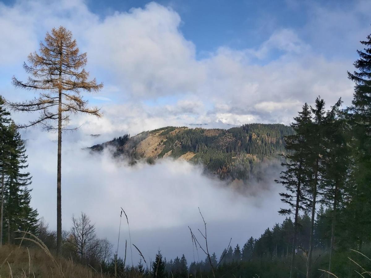 Korlape Apartman 4.2 Wolfsberg Bagian luar foto
